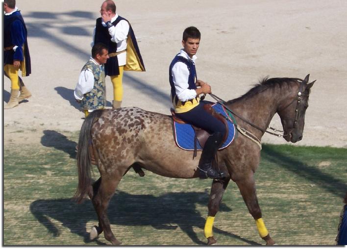 horse-mounted rider jouster porta solesta colours ascoli piceno north-west
